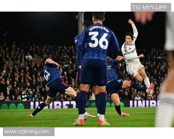 拜仁慕尼黑与热刺精彩对决视频回顾及赛后分析